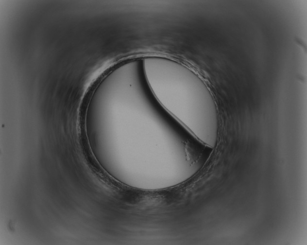 X0000093460248200710120956
