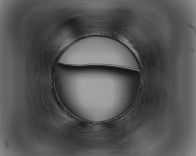 X0000093460249200710120956