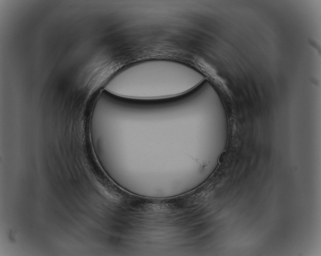 X0000093460250200710120956