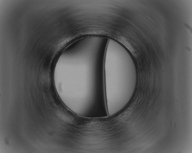 X0000093460252200710120956