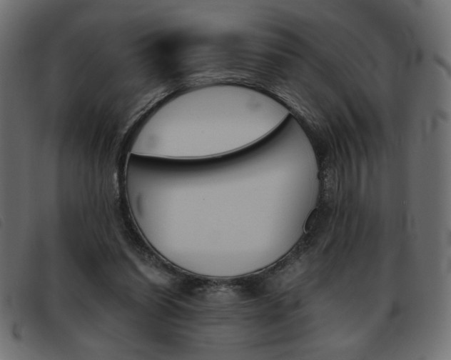 X0000093460254200710120956