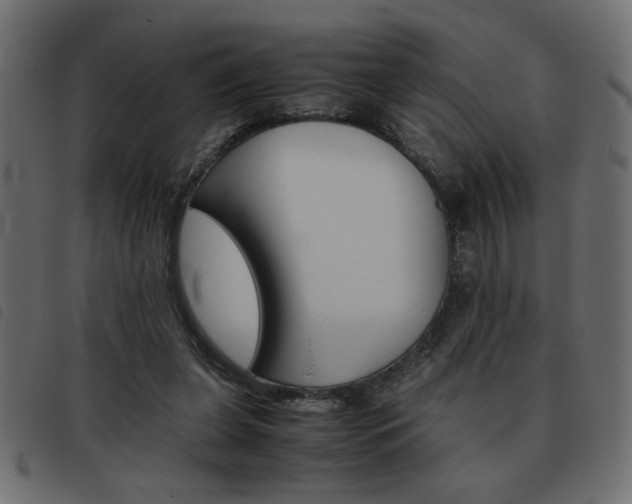 X0000093460255200710120956