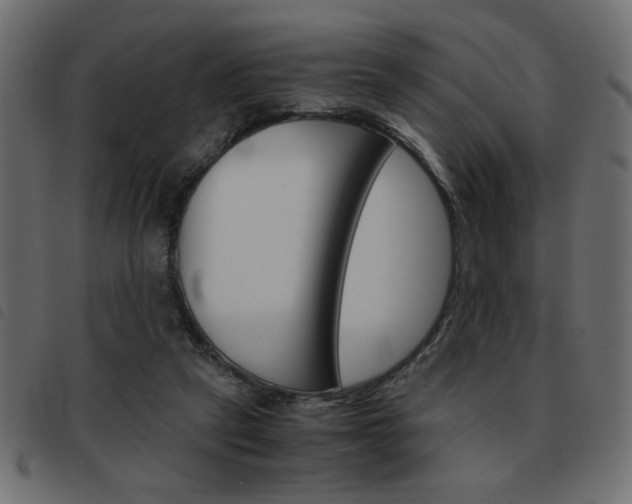 X0000093460257200710120956