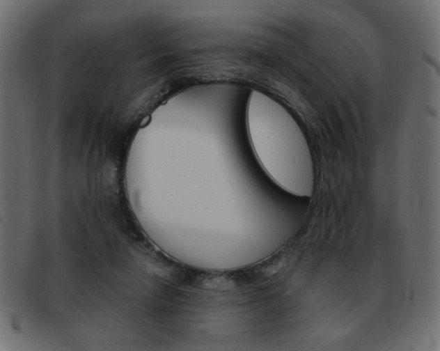 X0000093460258200710120956