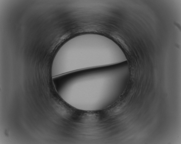 X0000093460260200710120956