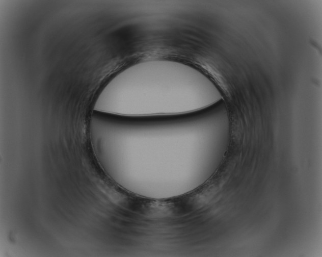 X0000093460261200710120956