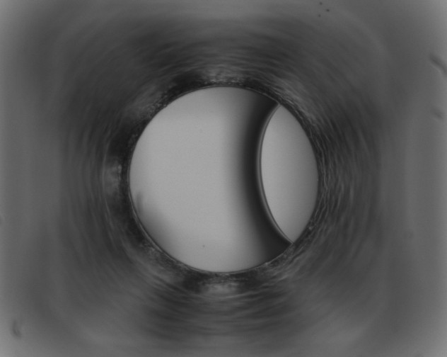 X0000093460263200710120956