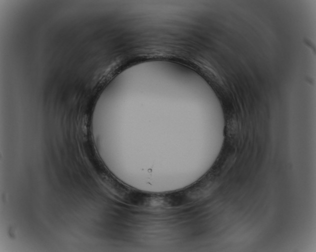 X0000093460264200710120956