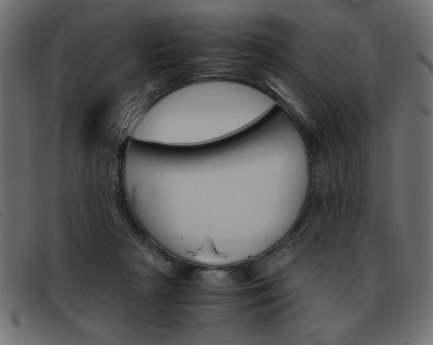 X0000093460265200710120956