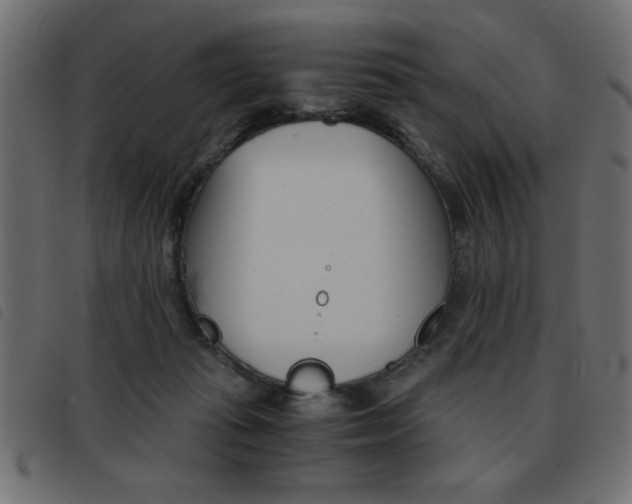 X0000093460269200710120956
