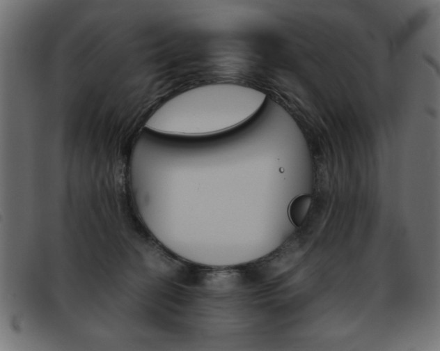 X0000093460274200710120956