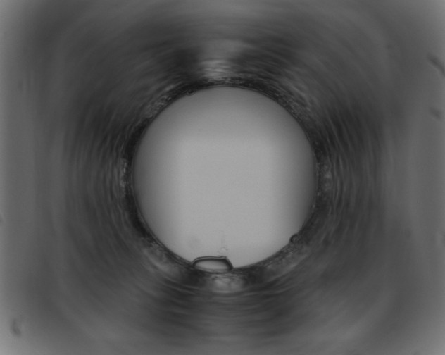 X0000093460275200710120956