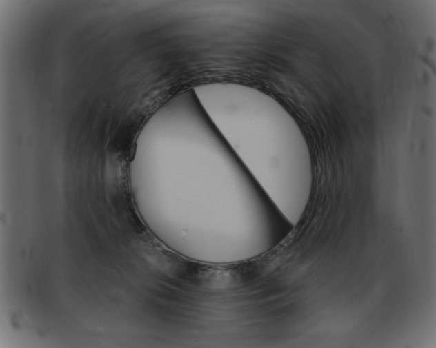 X0000093460276200710120956