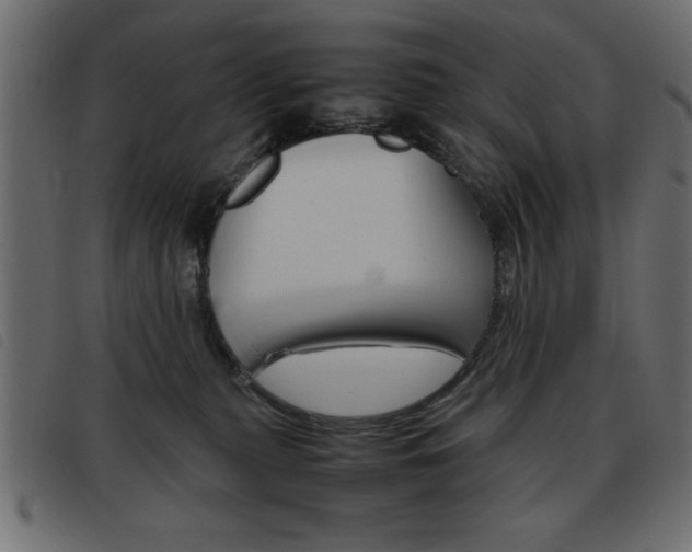 X0000093460279200710120956