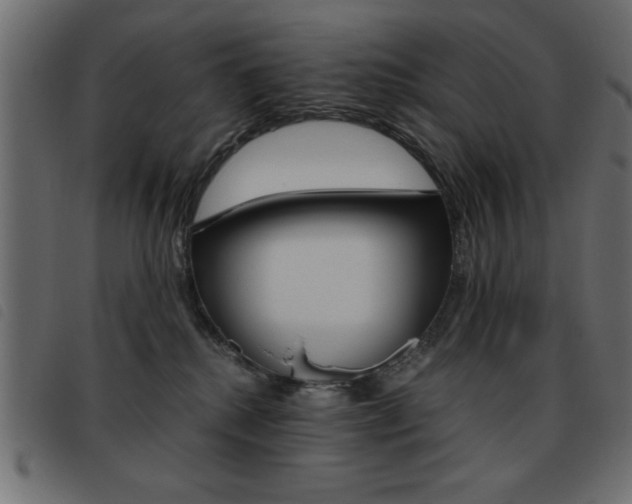 X0000093460280200710120956