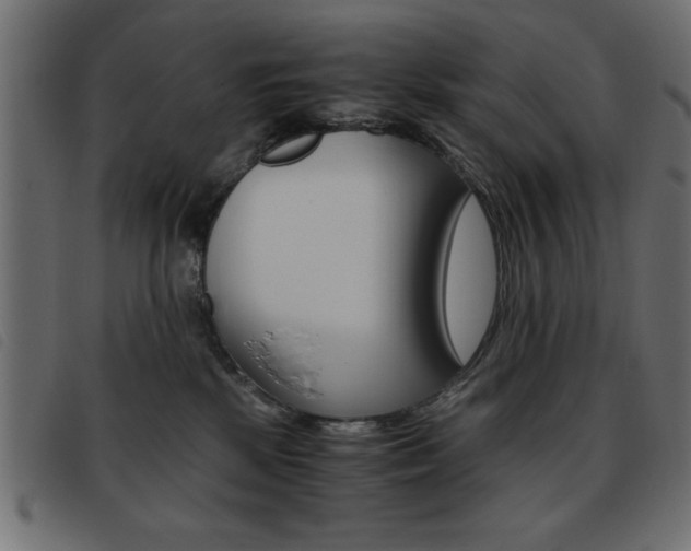 X0000093460281200710120956