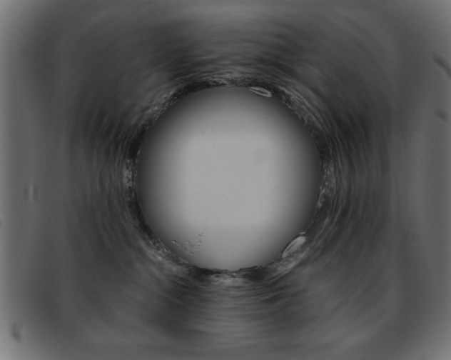 X0000093460284200710120956