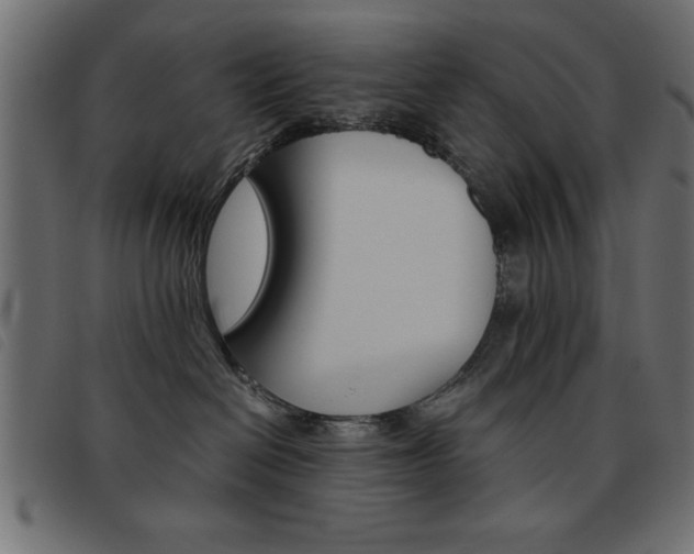 X0000093460286200710120956