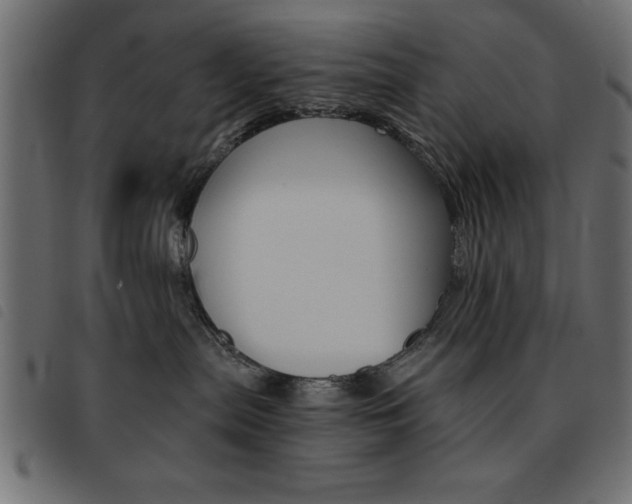 X0000093460287200710120956