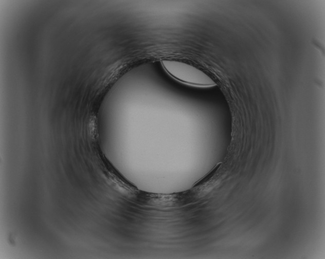 X0000093460288200710120956