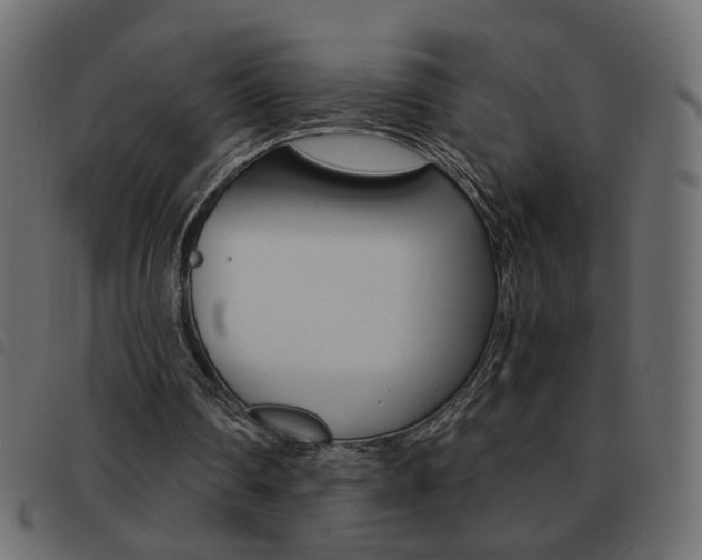 X0000093460290200710120955
