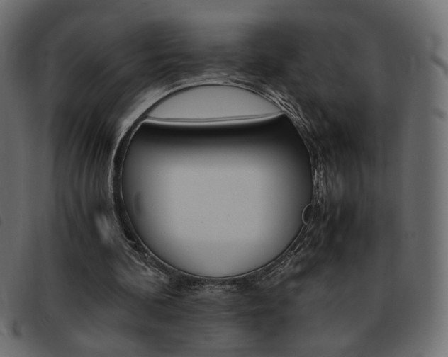 X0000093460292200710120955