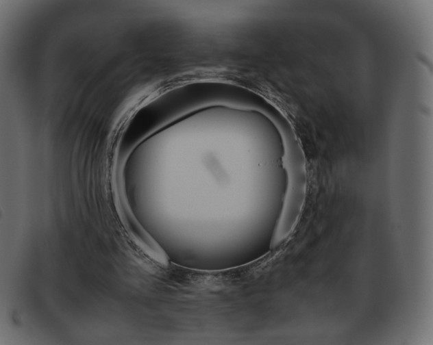 X0000093460293200710120955