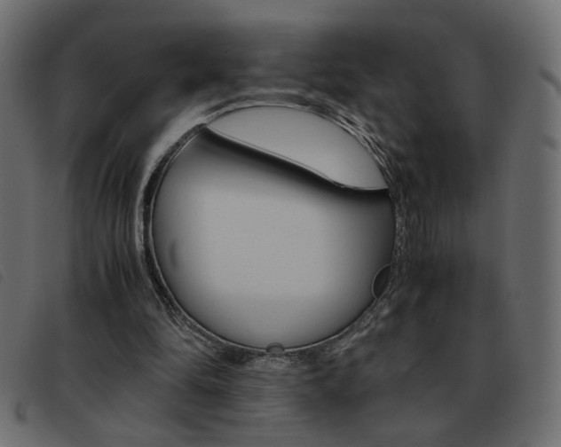 X0000093460294200710120955