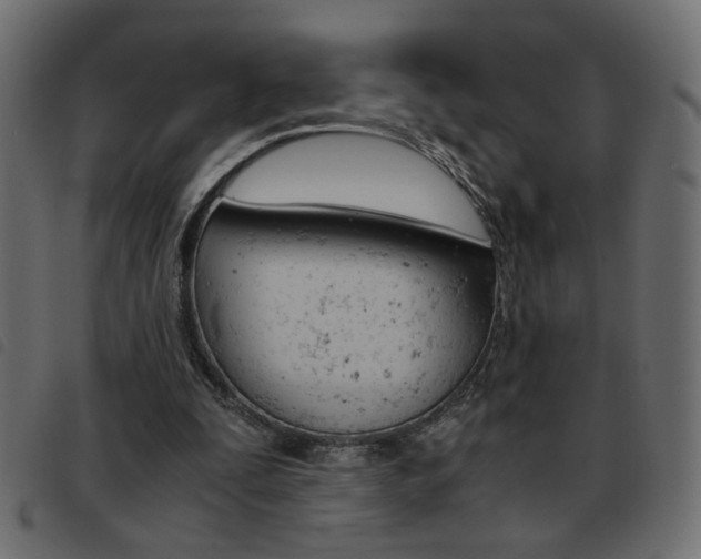 X0000093460295200710120955