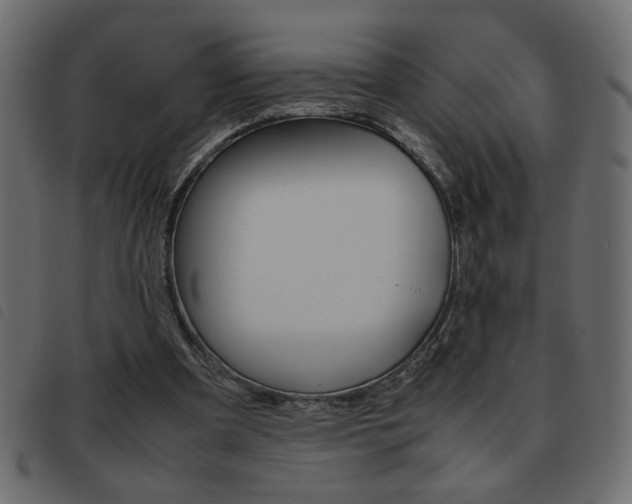 X0000093460297200710120955