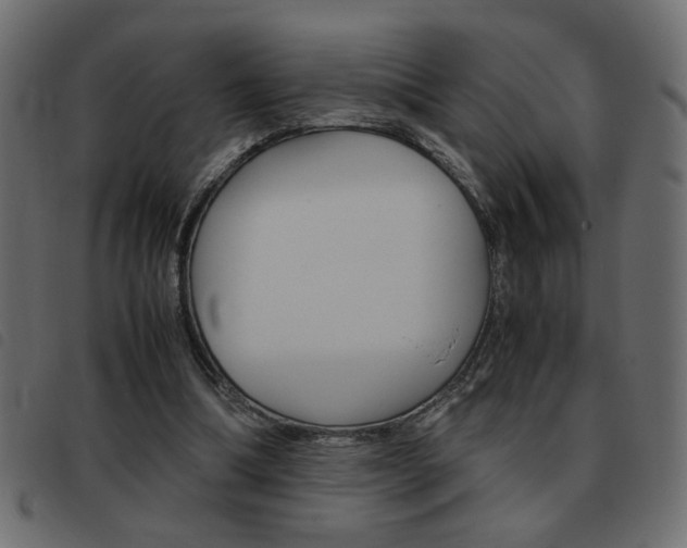 X0000093460298200710120955