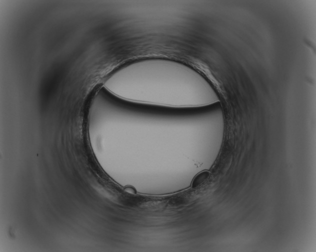 X0000093460299200710120955
