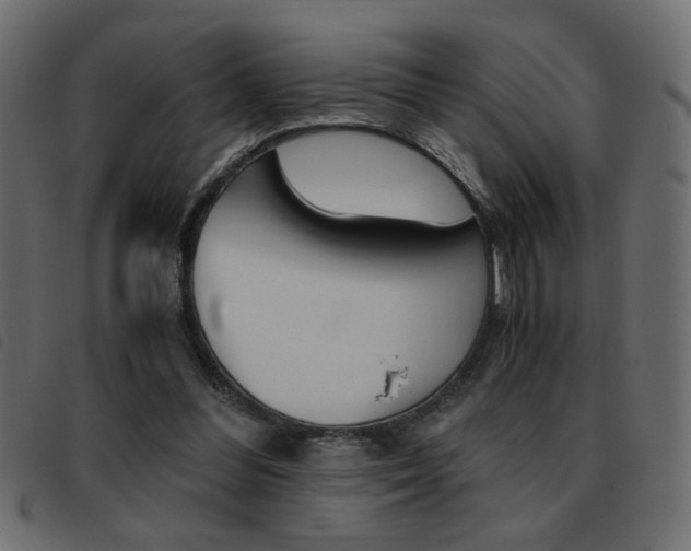 X0000093460300200710120955