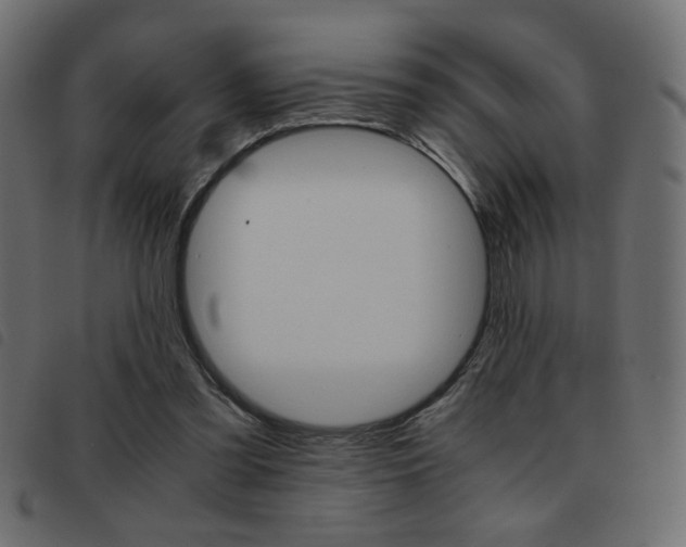 X0000093460301200710120955