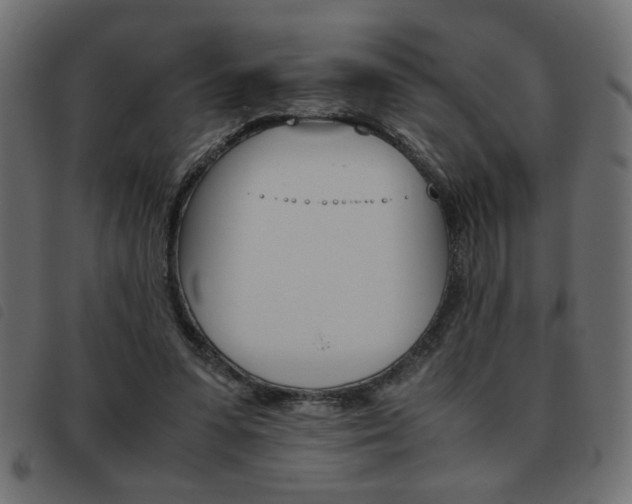 X0000093460303200710120955
