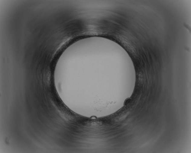 X0000093460304200710120955