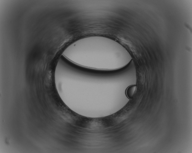 X0000093460308200710120955