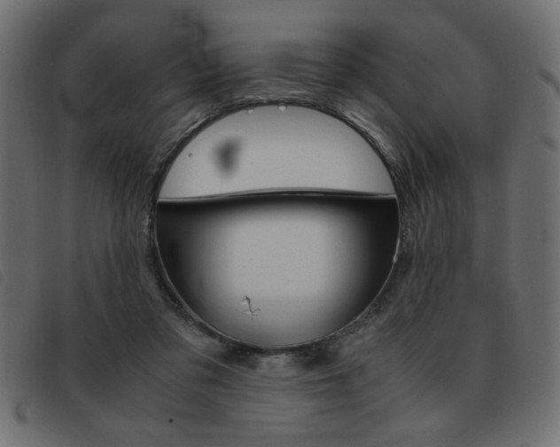 X0000093460309200710120955