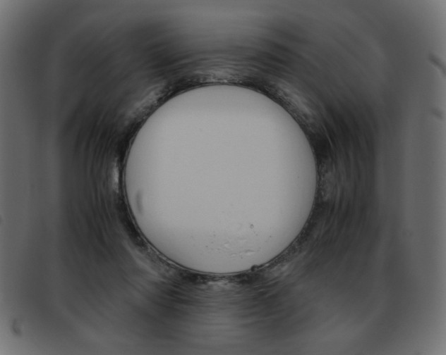 X0000093460310200710120955