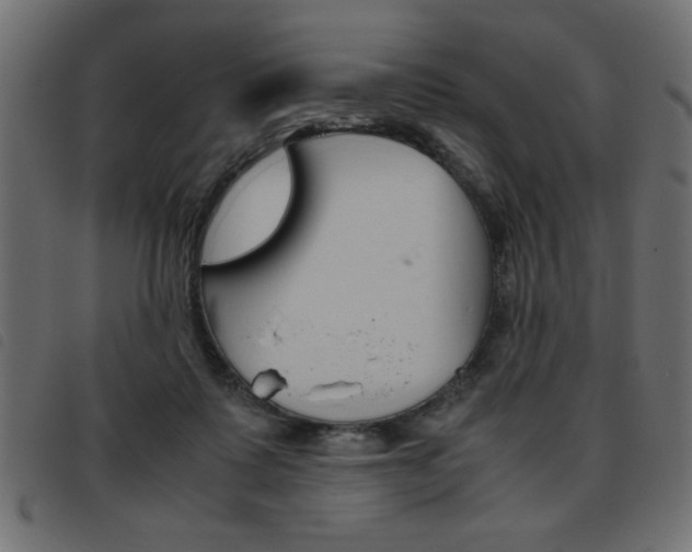 X0000093460315200710120955