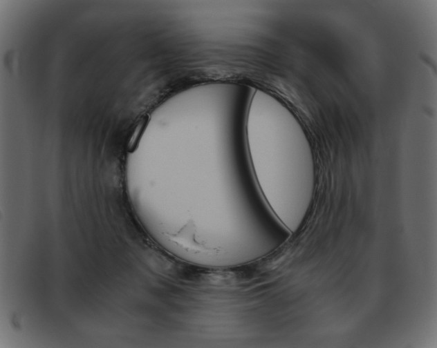 X0000093460317200710120955