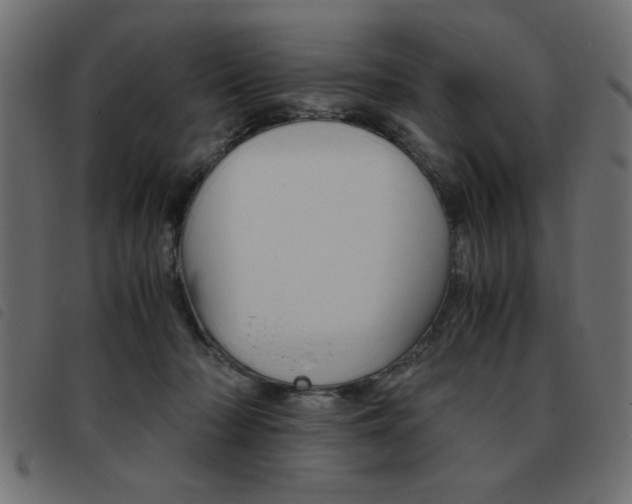 X0000093460318200710120955