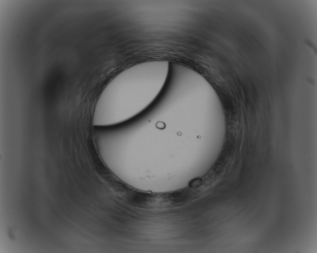 X0000093460319200710120955