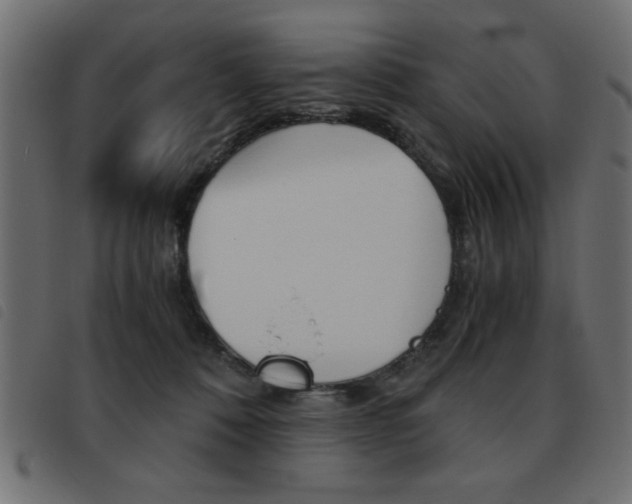 X0000093460320200710120955