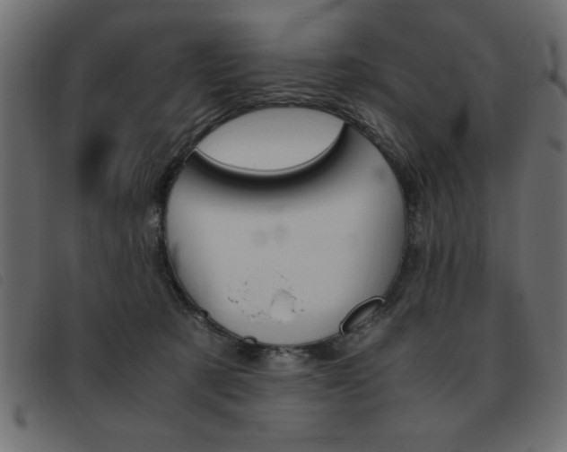X0000093460321200710120955