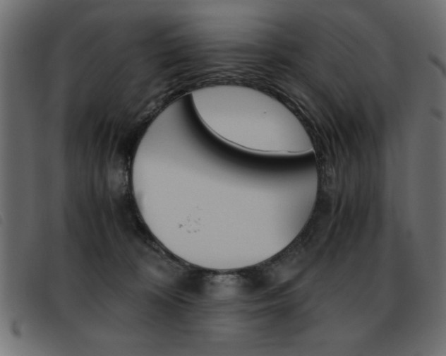 X0000093460324200710120955