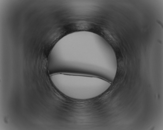 X0000093460325200710120955