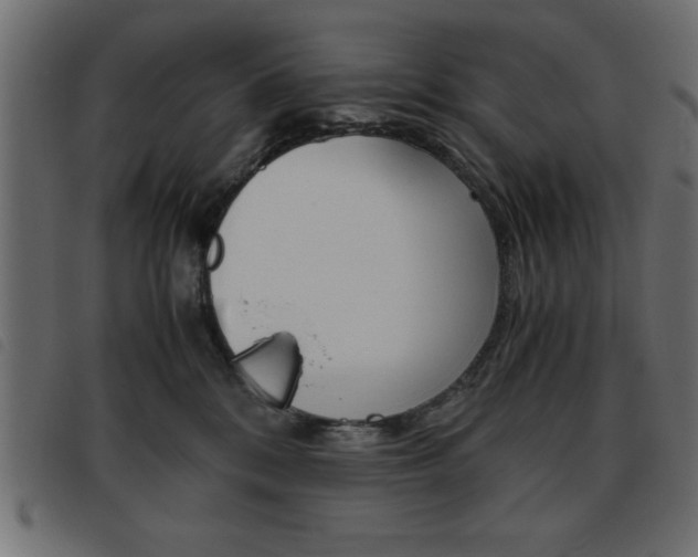 X0000093460328200710120955