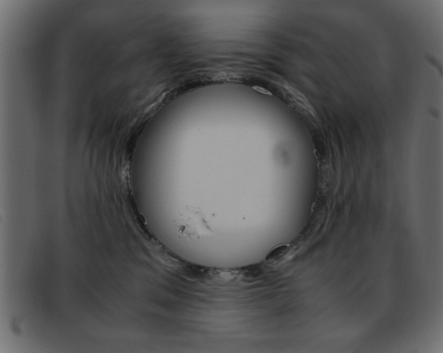 X0000093460329200710120955