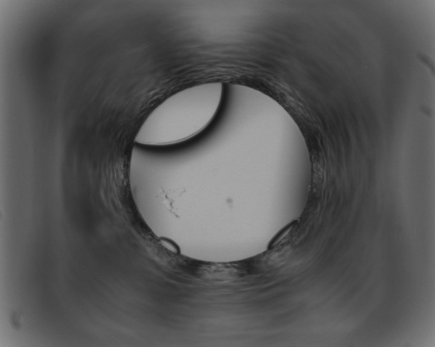 X0000093460331200710120955